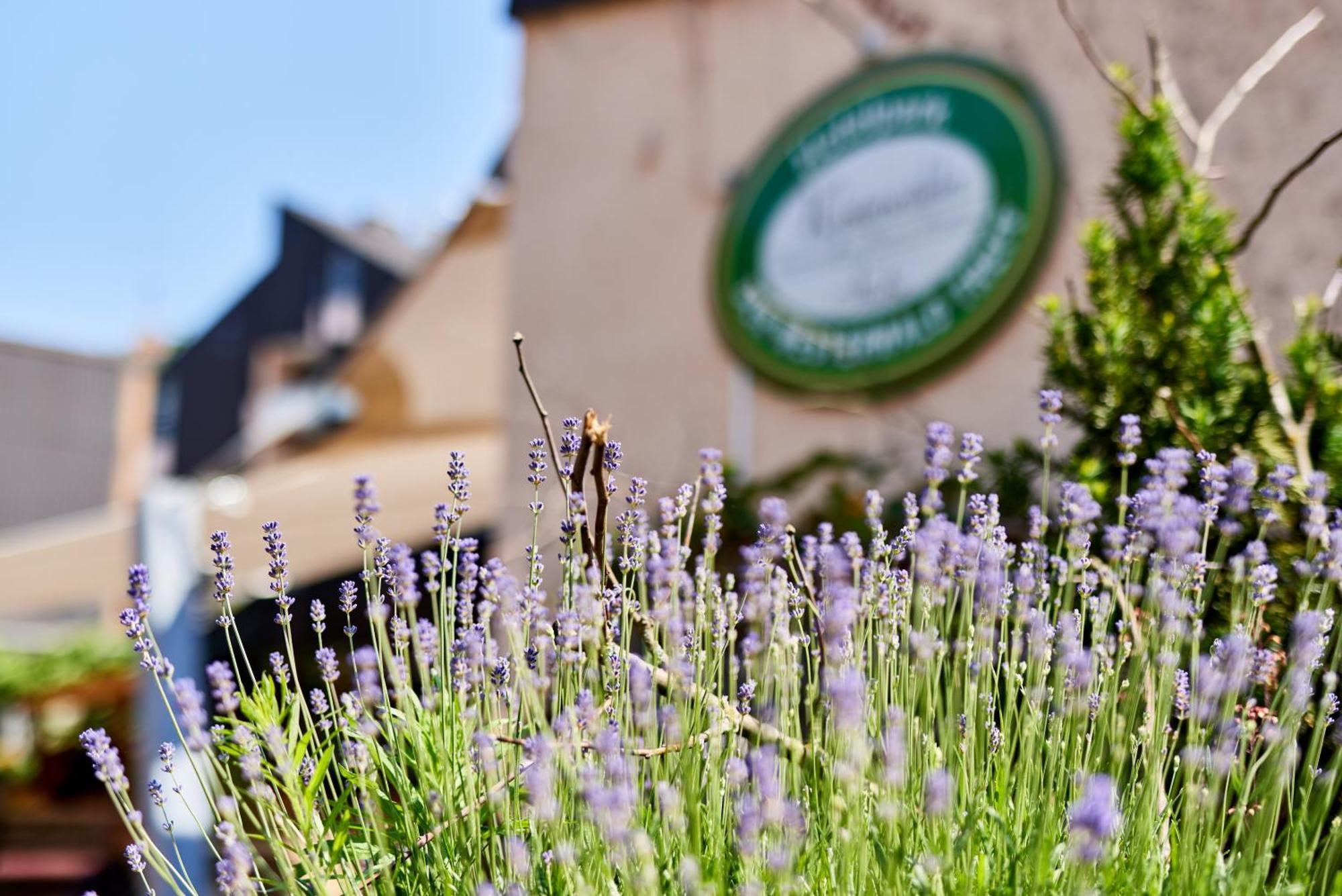 Hotelpark Der Westerwald Treff Oberlahr Екстер'єр фото